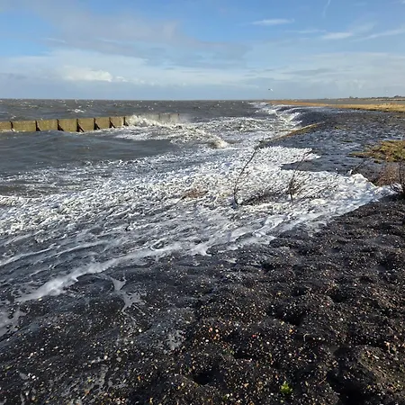 De Wieringerheid 162 덴오에버