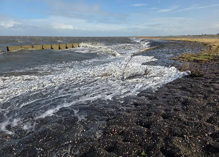 De Wieringerheid 162 덴오에버