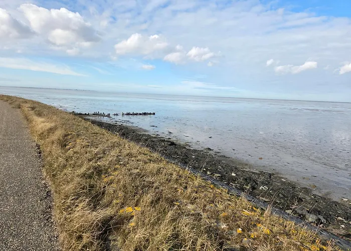 펜션 De Wieringerheid 162