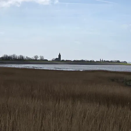 De Wieringerheid 162 *